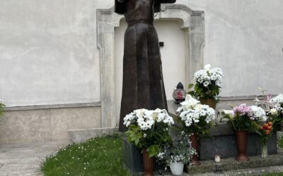 Szentmise Bogner Mária Margit boldoggá avatásáért